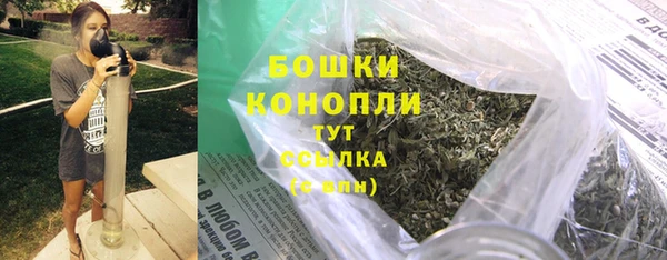 хмурый Аша